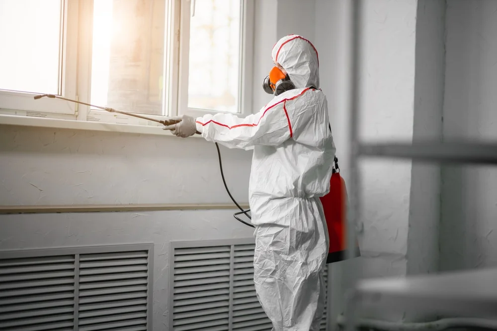 Professional mold remediation services in Coventry, CT